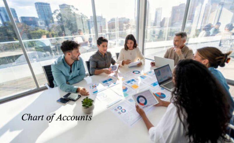 Chart of Accounts Definition, How It Works, and Example