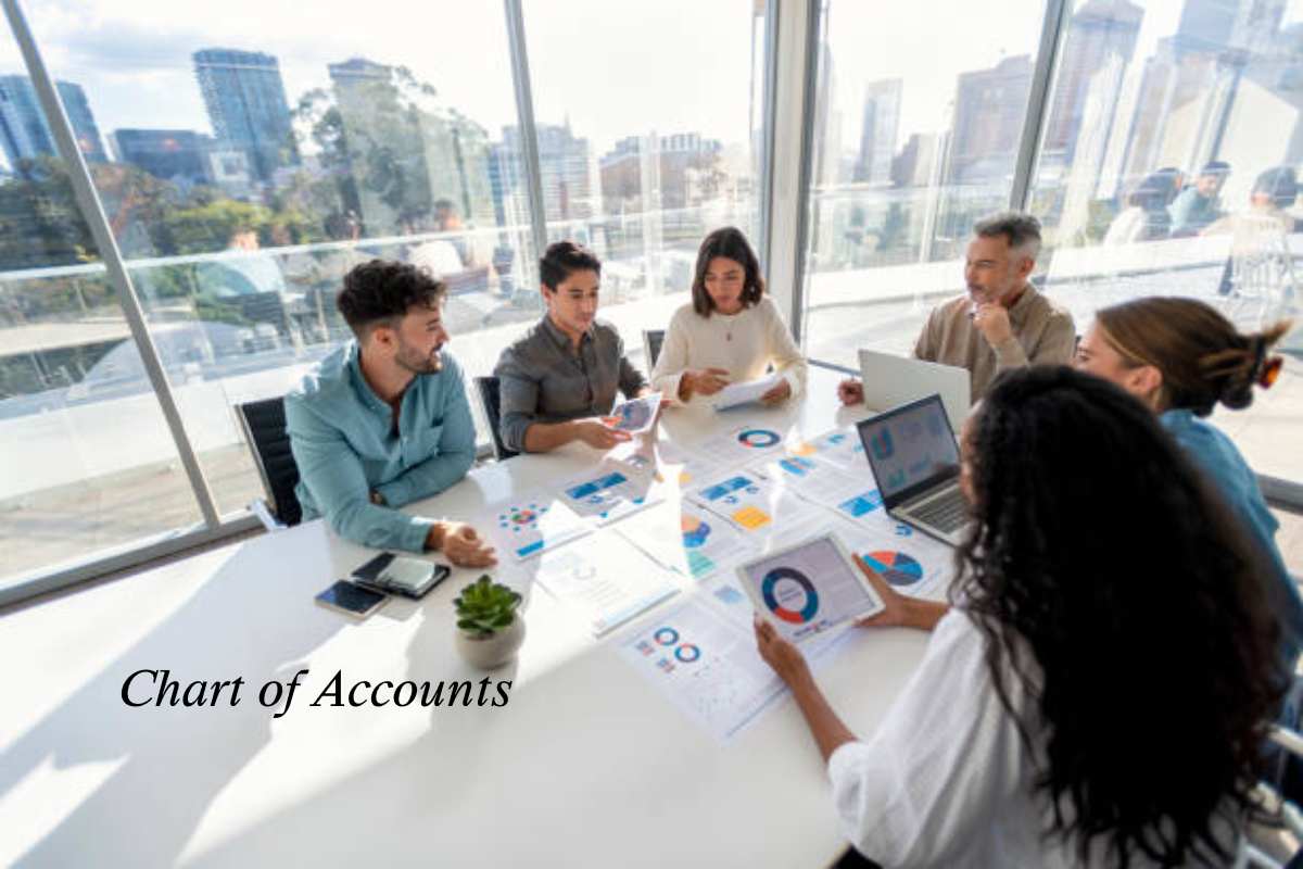 Chart of Accounts Definition, How It Works, and Example