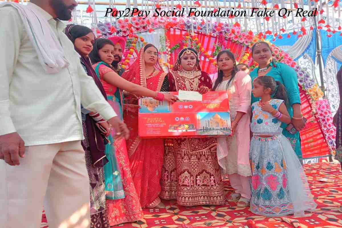 Pay2Pay Social Foundation Fake Or Real