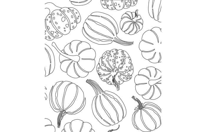 04 Plenty of Pumpkins Coloring Page