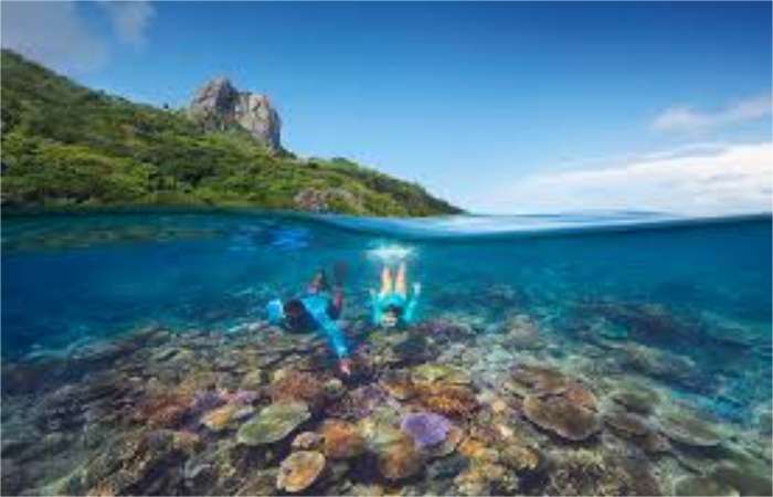 Fiji_ Coral Reefs and Culture - Beautiful:1lsfxpy_qdg= Beach